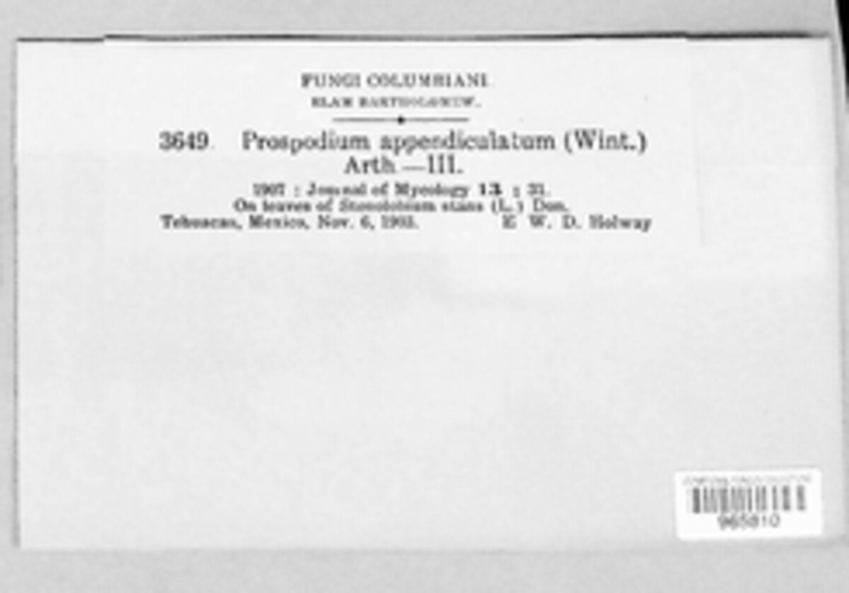 Prospodium appendiculatum image